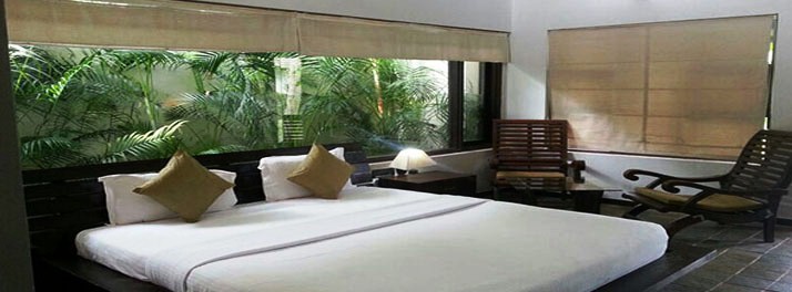 762/United-21 Vanvaso Gir - Gir National Park 07.jpg